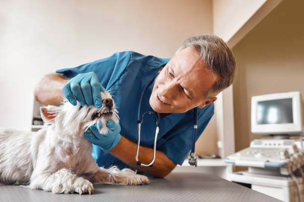 Best Emergency Root Canal Treatment in Leonia, NJ