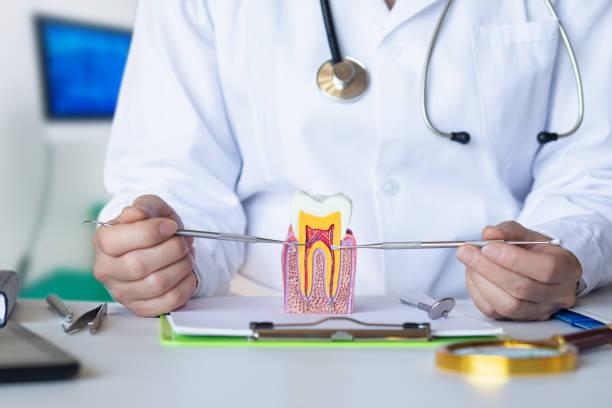 Best Orthodontic Emergency Dentist in Leonia, NJ